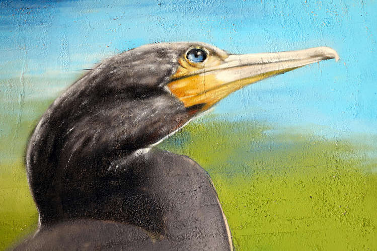 Graffiti-Art in viaduct/tunneltje onder de A12_19